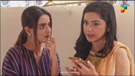 Bichoo - 20th Jun 2022